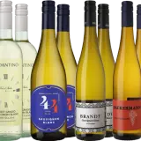 Eine Auswahl an Sauvignon Blanc Weinen, darunter spanische, italienische und deutsche Varianten, präsentiert sich in verschiedenen Flaschen.