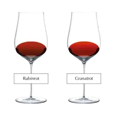 Vier Gläser mit Rotwein in unterschiedlichen Farbtönen: Purpurrot, Rubinrot, Granatrot und Braunrot.