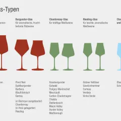 Verschiedene weinglas arten für Rot- und Weißweine sowie Sekt. Bordeaux-, Burgunder-, Chardonnay- und Riesling-Gläser mit passenden Rebsorten.
