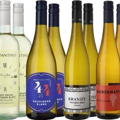 Eine Auswahl an Sauvignon Blanc Weinen, darunter spanische, italienische und deutsche Varianten, präsentiert sich in verschiedenen Flaschen.
