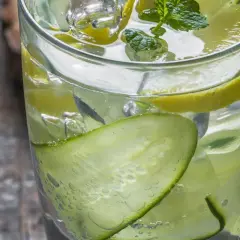 Erfrischender Gin Tonic mit Gurkenscheiben, Zitronen und Minze. So sieht ein perfekter Gin Tonic aus!