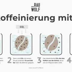 Entkoffeinierter Kaffee gesund: CO₂-Verfahren erklärt. Bohnen werden erst in Wasser, dann mit CO₂ behandelt, um Koffein zu entfernen.