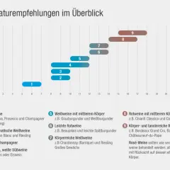 Übersicht der idealen Trinktemperaturen für verschiedene Weinstile, von leichten Schaumweinen bis zu tanninreichen Rotweinen.