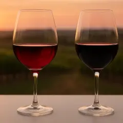 Zwei Weingläser mit Rotwein vor einem Weinberg bei Sonnenuntergang. Ein Glas mit rubinrotem Wein, das andere mit dunklem, fast schwarzem Wein – ein visueller Vergleich von Cabernet Sauvignon vs. Merlot.