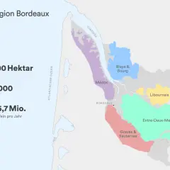 Karte des Bordeaux Weinbaugebiets mit Anbauflächen wie Médoc, Graves & Sauternes, Entre-Deux-Mers.