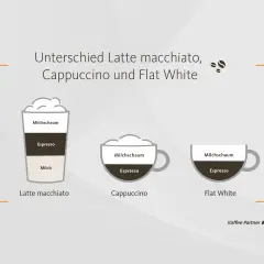 Vergleich von Espresso-Getränken: Latte macchiato, Cappuccino und Flat White mit ihren Schichten aus Milch, Espresso und Milchschaum.