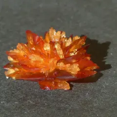 Orange-rote Kristalle, die wie eine Blüte aussehen, bilden eine Weinsteinablagerung auf dunklem Untergrund.