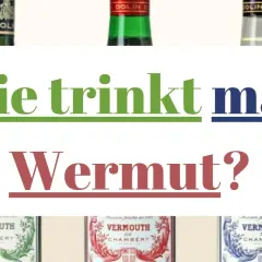 Drei Flaschen Wermut von Dolin stehen im Vordergrund. Der Text fragt: "Wie trinkt man Wermut?".