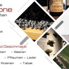 Amarone: Trauben, Flaschen, Wein im Glas, Weinberge. Aromen: Beeren, Kirschen, Pflaumen, Rosinen, Tabak, erdige Noten. Was ist Amarone? Ein italienischer Rotwein.