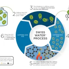 Der Swiss Water® Prozess entfernt Koffein aus Kaffee. Grüner Kaffee wird gereinigt, dann mit koffeinfreiem Extrakt behandelt, um das Koffein zu extrahieren.