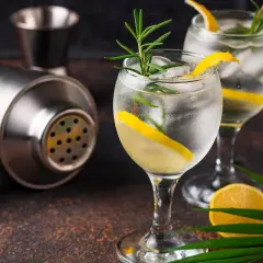 Zwei erfrischende Gin-Tonics mit Zitrone und Rosmarin, daneben ein Cocktail-Shaker. Wer sich fragt, wieviel Kalorien Gin hat, findet hier Inspiration für einen leichten Genuss.