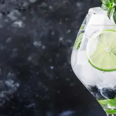 Erfrischender Gin Tonic mit Blaubeeren, Limette und Minze. Dieser ist gin glutenfrei und perfekt für heiße Tage.