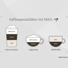 Die Cappuccino Zusammensetzung: Milchschaum über Espresso. Daneben Latte Macchiato und Milchkaffee.