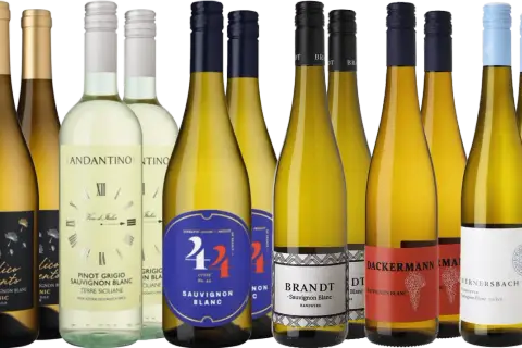 Eine Auswahl an Sauvignon Blanc Weinen, darunter spanische, italienische und deutsche Varianten, präsentiert sich in verschiedenen Flaschen.