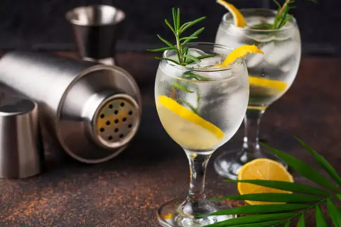 Zwei erfrischende Gin-Tonics mit Zitrone und Rosmarin, daneben ein Cocktail-Shaker. Wer sich fragt, wieviel Kalorien Gin hat, findet hier Inspiration für einen leichten Genuss.