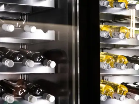Wein im Gefrierschrank kühlen? Das musst du wissen