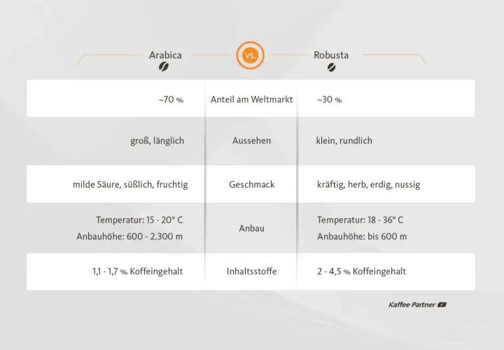 Vergleichstabelle: Arabica vs. Robusta. Zeigt Unterschiede in Marktanteil, Aussehen, Geschmack, Anbau und Koffeingehalt. Eine Arabica Robusta Mischung vereint oft das Beste aus beiden Welten.