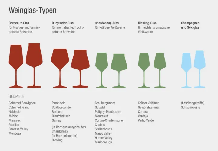 Verschiedene weinglas arten für Rot- und Weißweine sowie Sekt. Bordeaux-, Burgunder-, Chardonnay- und Riesling-Gläser mit passenden Rebsorten.