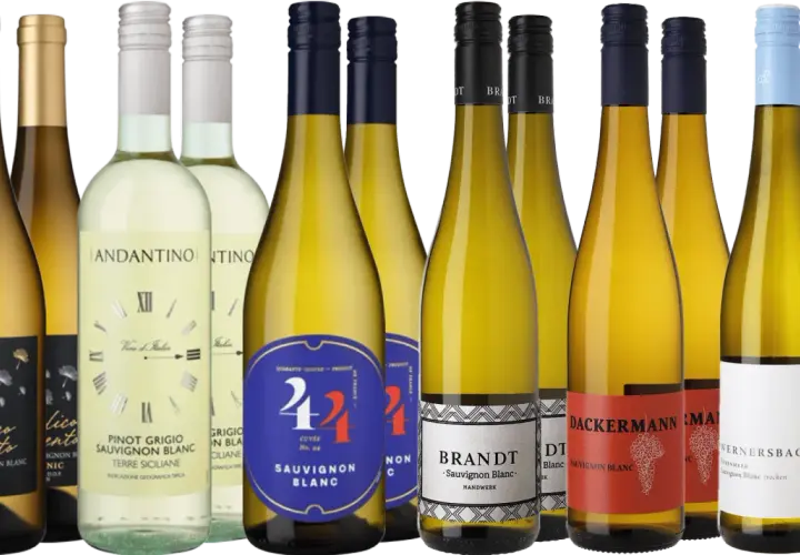 Eine Auswahl an Sauvignon Blanc Weinen, darunter spanische, italienische und deutsche Varianten, präsentiert sich in verschiedenen Flaschen.