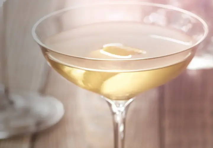 Ein Glas mit trockenem Wermut, garniert mit einer Zitronenscheibe, steht auf einem Holztisch.