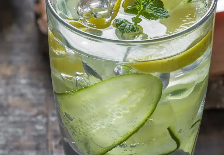 Erfrischender Gin Tonic mit Gurkenscheiben, Zitronen und Minze. So sieht ein perfekter Gin Tonic aus!