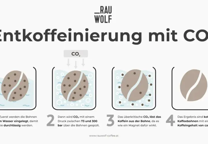 Entkoffeinierter Kaffee gesund: CO₂-Verfahren erklärt. Bohnen werden erst in Wasser, dann mit CO₂ behandelt, um Koffein zu entfernen.
