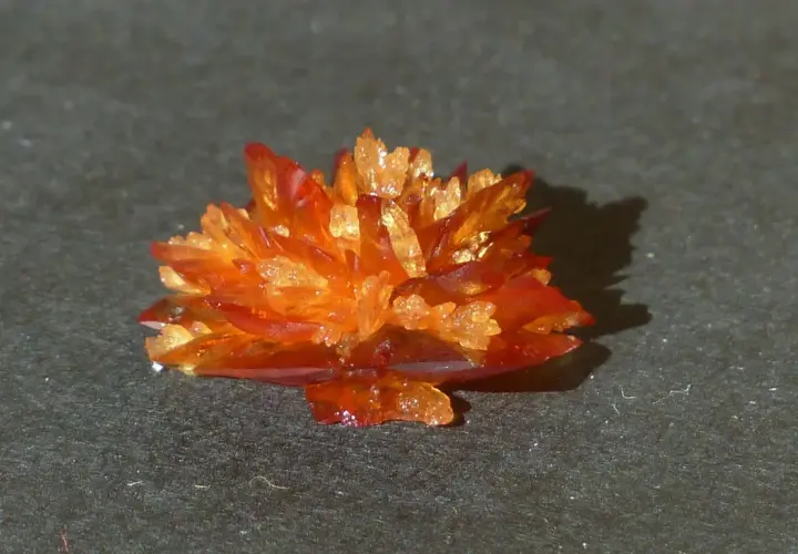 Orange-rote Kristalle, die wie eine Blüte aussehen, bilden eine Weinsteinablagerung auf dunklem Untergrund.