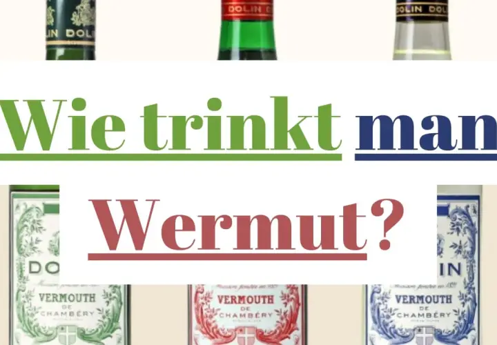 Drei Flaschen Wermut von Dolin stehen im Vordergrund. Der Text fragt: "Wie trinkt man Wermut?".