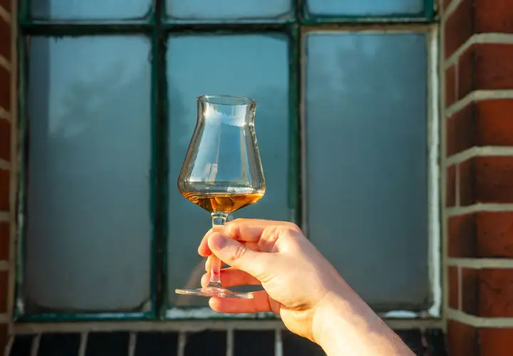 Hand hält ein Glas mit bernsteinfarbenem Whisky. Der Alkoholgehalt des Whiskys wird durch die Farbe und Klarheit angedeutet.