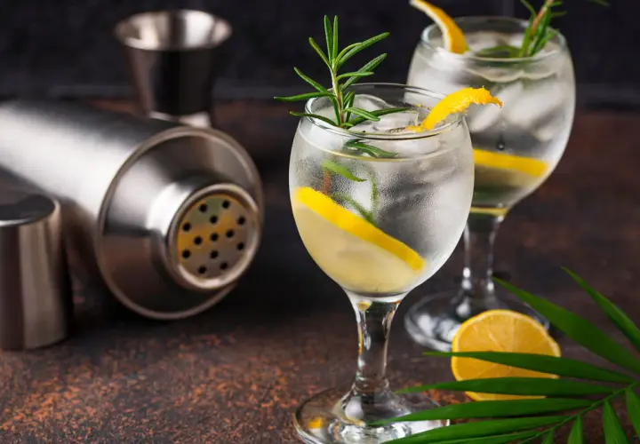 Zwei erfrischende Gin-Tonics mit Zitrone und Rosmarin, daneben ein Cocktail-Shaker. Wer sich fragt, wieviel Kalorien Gin hat, findet hier Inspiration für einen leichten Genuss.