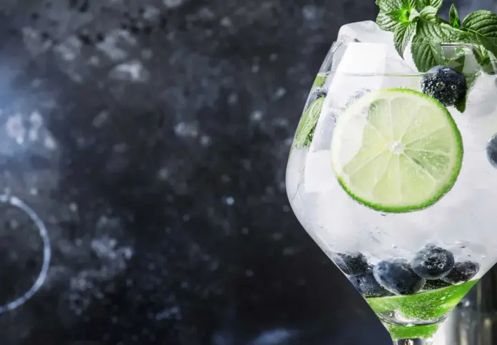 Erfrischender Gin Tonic mit Blaubeeren, Limette und Minze. Dieser ist gin glutenfrei und perfekt für heiße Tage.