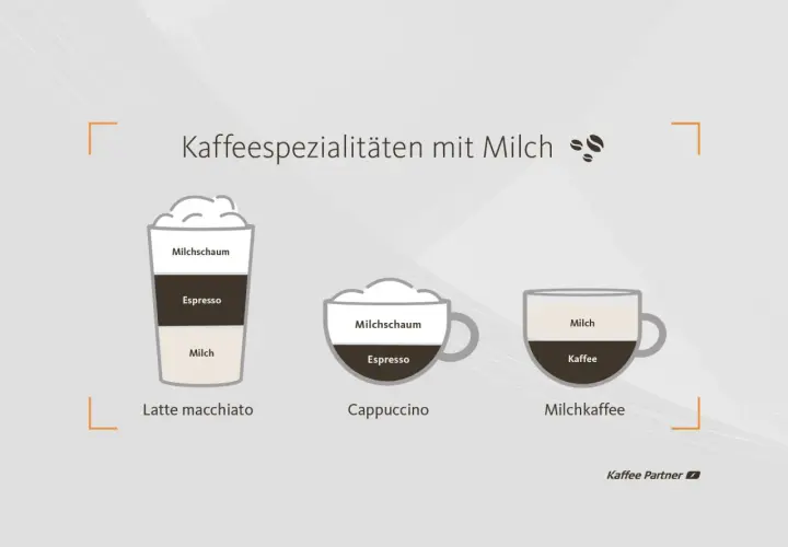 Die Cappuccino Zusammensetzung: Milchschaum über Espresso. Daneben Latte Macchiato und Milchkaffee.