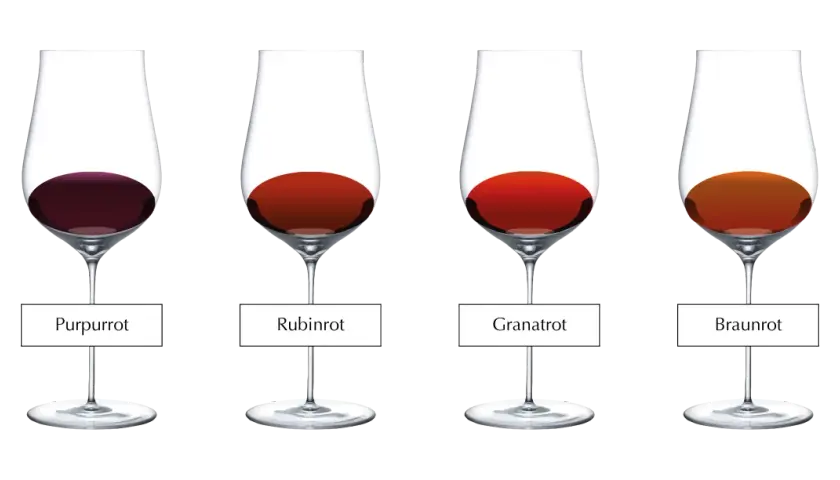 Vier Gläser mit Rotwein in unterschiedlichen Farbtönen: Purpurrot, Rubinrot, Granatrot und Braunrot.