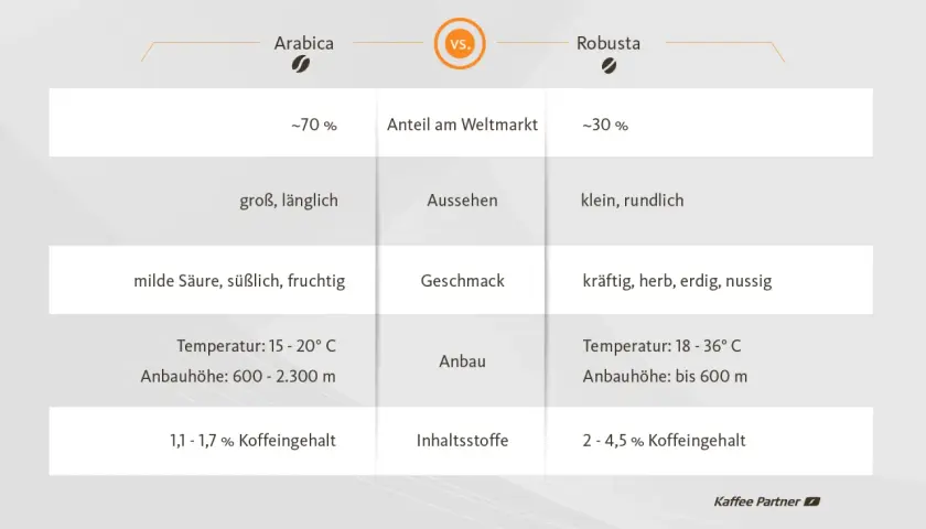 Vergleichstabelle: Arabica vs. Robusta. Zeigt Unterschiede in Marktanteil, Aussehen, Geschmack, Anbau und Koffeingehalt. Eine Arabica Robusta Mischung vereint oft das Beste aus beiden Welten.