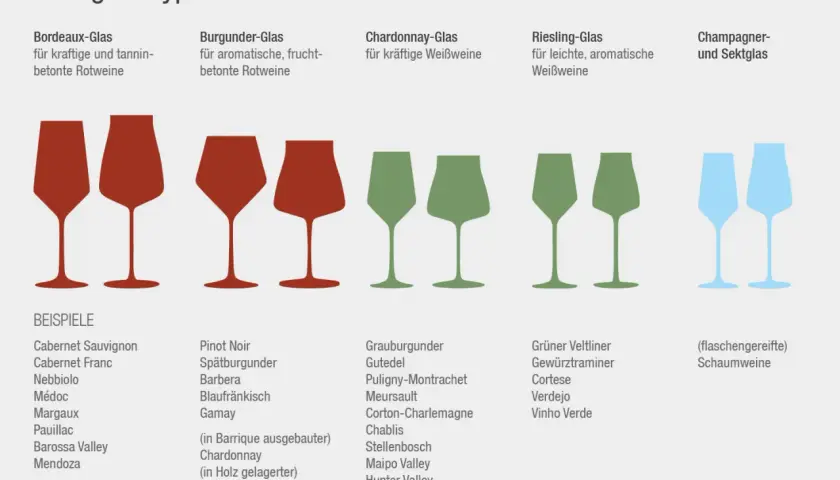 Verschiedene weinglas arten für Rot- und Weißweine sowie Sekt. Bordeaux-, Burgunder-, Chardonnay- und Riesling-Gläser mit passenden Rebsorten.