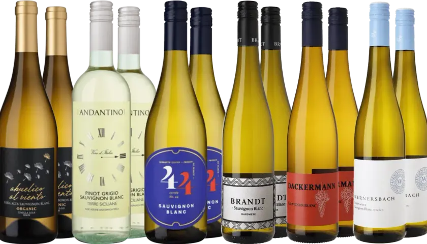 Eine Auswahl an Sauvignon Blanc Weinen, darunter spanische, italienische und deutsche Varianten, präsentiert sich in verschiedenen Flaschen.