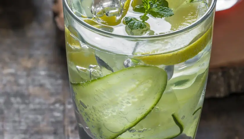 Erfrischender Gin Tonic mit Gurkenscheiben, Zitronen und Minze. So sieht ein perfekter Gin Tonic aus!