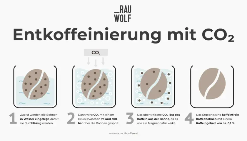 Entkoffeinierter Kaffee gesund: CO₂-Verfahren erklärt. Bohnen werden erst in Wasser, dann mit CO₂ behandelt, um Koffein zu entfernen.