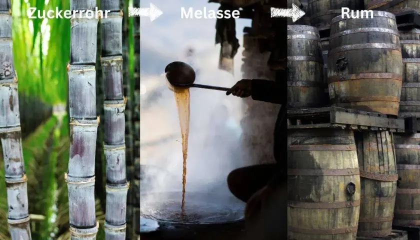 Zuckerrohr wird zu Melasse verarbeitet, aus der dann Rum in Fässern reift.