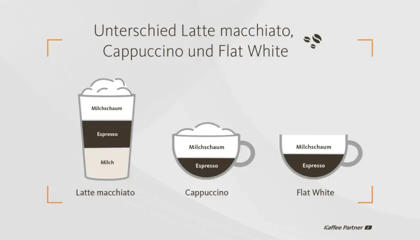 Vergleich von Espresso-Getränken: Latte macchiato, Cappuccino und Flat White mit ihren Schichten aus Milch, Espresso und Milchschaum.