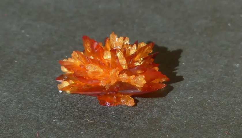 Orange-rote Kristalle, die wie eine Blüte aussehen, bilden eine Weinsteinablagerung auf dunklem Untergrund.