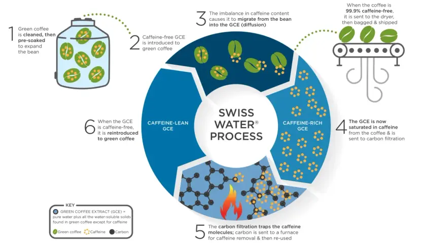 Der Swiss Water® Prozess entfernt Koffein aus Kaffee. Grüner Kaffee wird gereinigt, dann mit koffeinfreiem Extrakt behandelt, um das Koffein zu extrahieren.