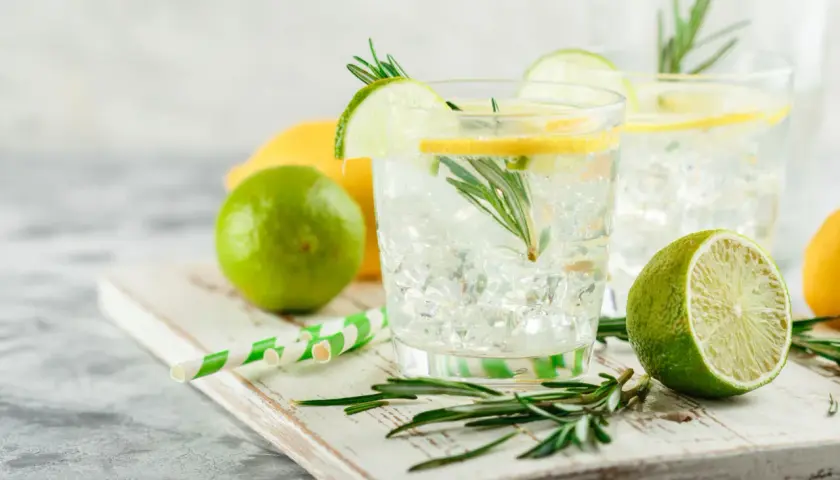 Erfrischende Gin Tonics mit Zitrone, Limette und Rosmarin. Die Frage "wieviel Gin in Gin Tonic" bleibt offen, aber die Zutaten sind perfekt.