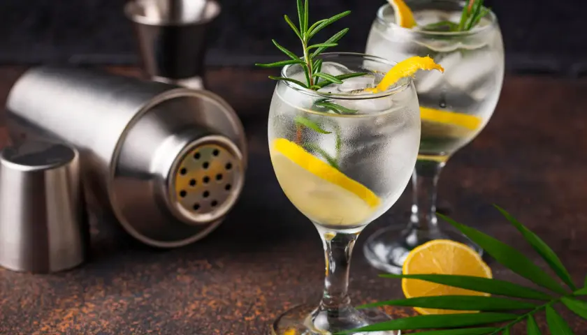 Zwei erfrischende Gin-Tonics mit Zitrone und Rosmarin, daneben ein Cocktail-Shaker. Wer sich fragt, wieviel Kalorien Gin hat, findet hier Inspiration für einen leichten Genuss.