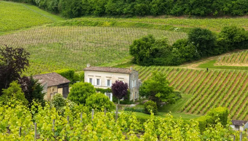 Grüne Weinberge erstrecken sich über Hügel, mit einem Haus und Scheune im Zentrum. Dies ist ein typisches Bild von Bordeaux, wo Wein angebaut wird.