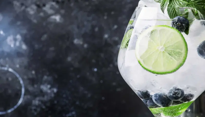 Erfrischender Gin Tonic mit Blaubeeren, Limette und Minze. Dieser ist gin glutenfrei und perfekt für heiße Tage.