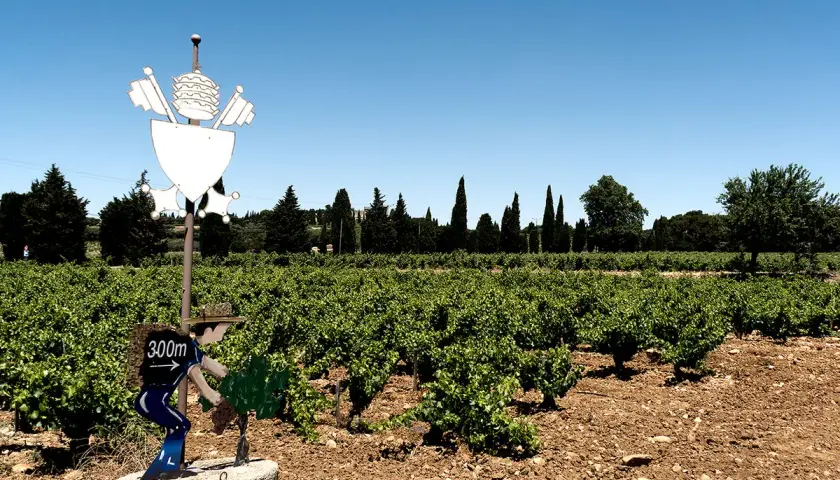 Weinberge in Châteauneuf-du-Pape mit einem Schild, das auf 300m hinweist.