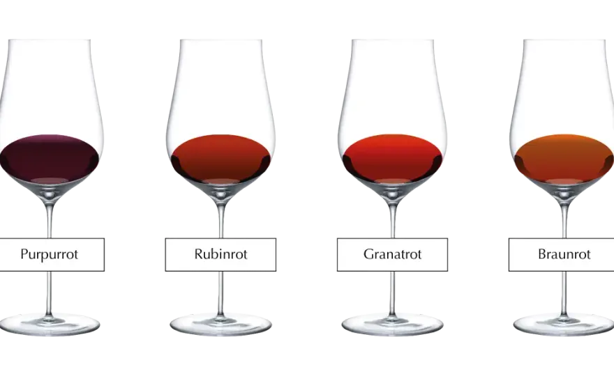 Rotweinfarbe verstehen - Was Violett, Rubinrot und Braun verraten