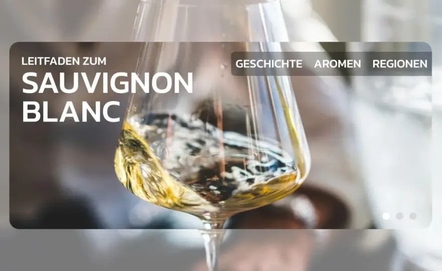 Sauvignon Blanc verstehen - Aromen, Stile und passende Speisen