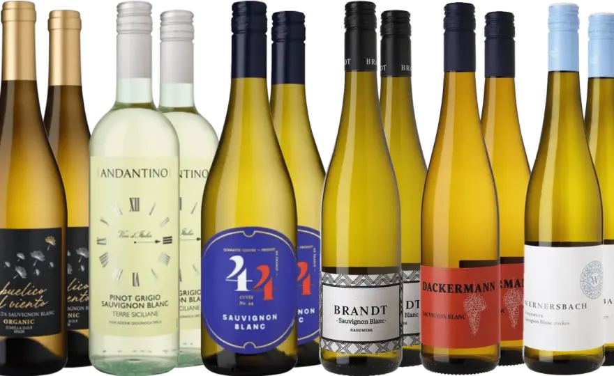 Sauvignon Blanc auf Deutsch erklärt - Geschmack und Kauf